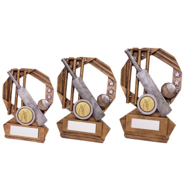 ENIGMA CRICKET RESIN AWARD - 3 SIZES - 120MM - 155mm